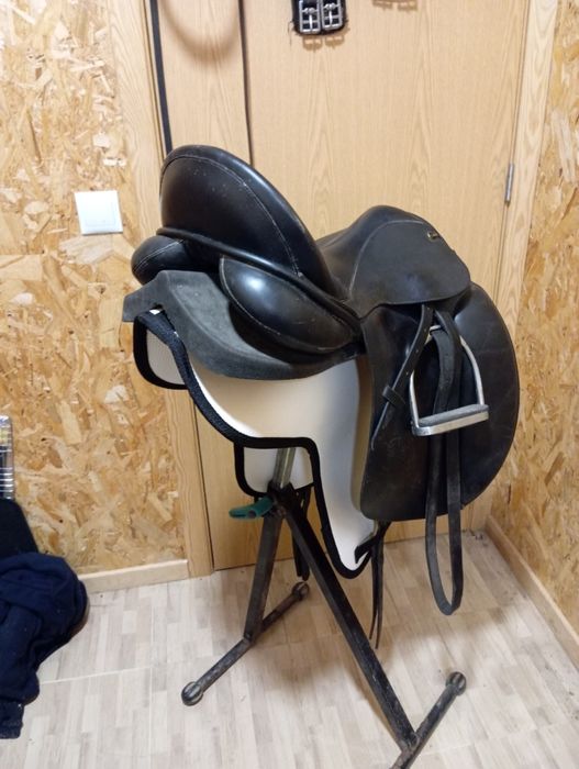 Sela/ Selim de ensino lexhis kll completo com cabeçada