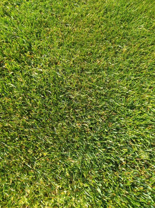 Usługi Ogrodnicze Zakładanie ogrodów Trawniki