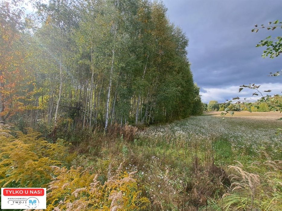 Nowa niższa cena! Działka w otoczeniu lasu!