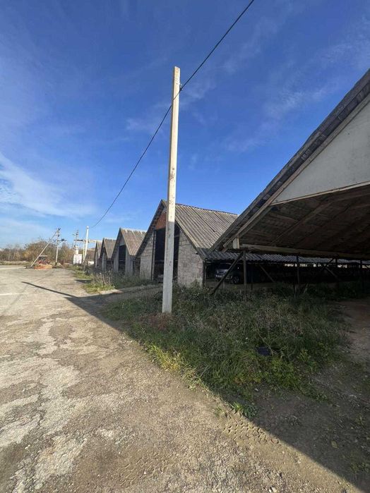 Продаж виробничо-складського приміщення, цегельний завод, с. Горбачі