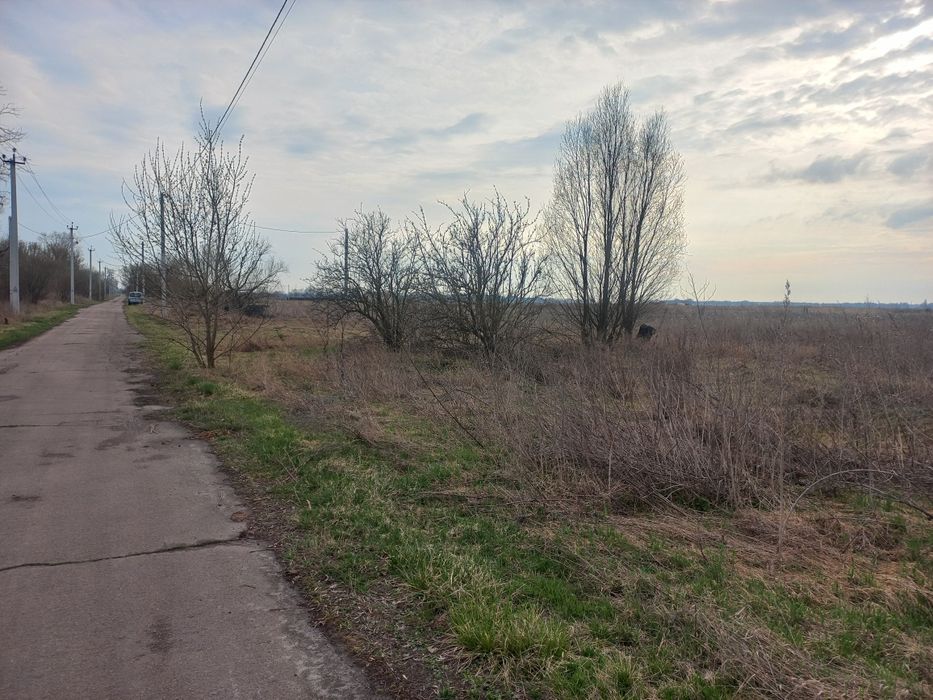 Продам земельну ділянку в Затишному