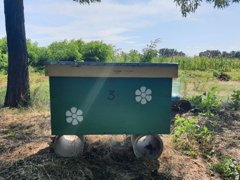 Улья 20 рамочные