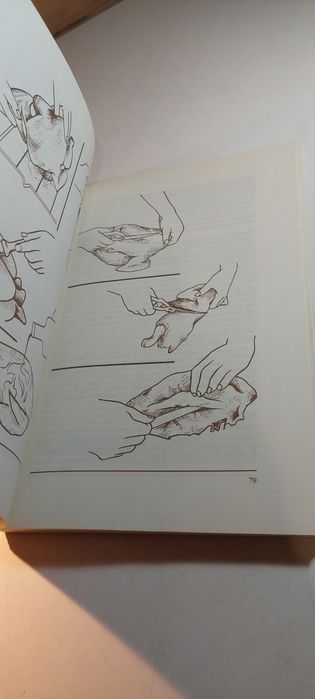 O Trivial - Filipa Vacondeus (1986)