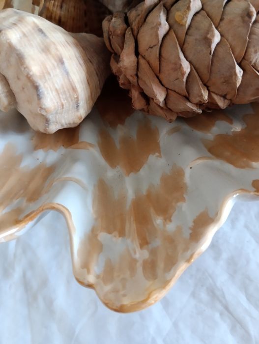 Ваза ракушка. Новая