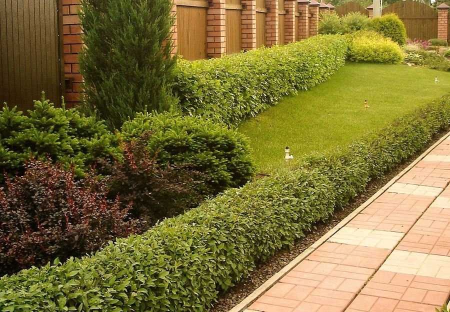 Уборка участков, покос травы, спил деревьев, вывоз мусора