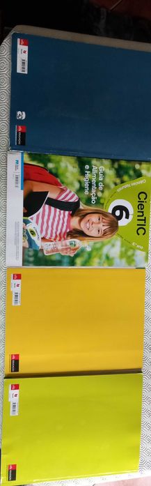 Cadernos fichas 6° ano