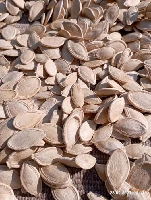 Клюква все лікувальне