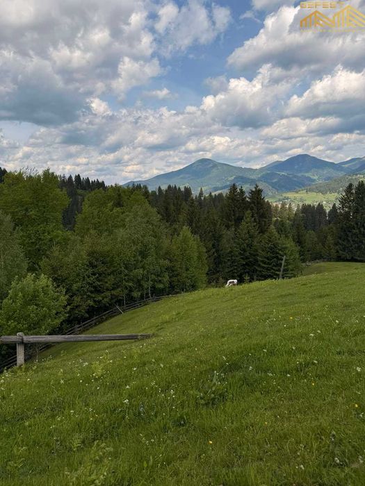 Верховина. 25,5сотих. Нерухомість. Земля. Карпати. Верховинський район