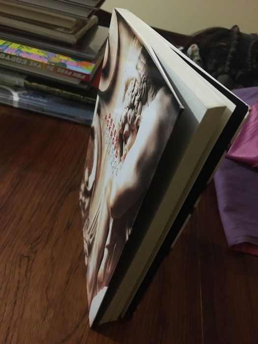 PETER ACKROYD — “Os Cadernos de Platão”