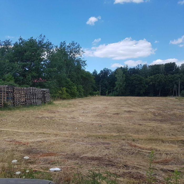 Wynajmę 226 m2 magazynu/Działka 6000 m2  DĄBRÓWKI/ŁAŃCUTA