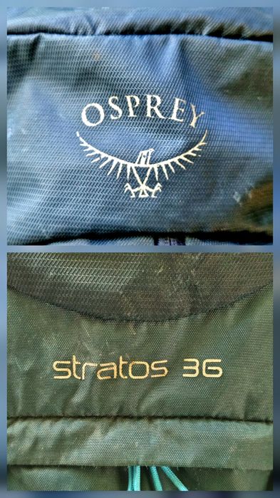 OSPREY Stratos 36 Cetacean blue