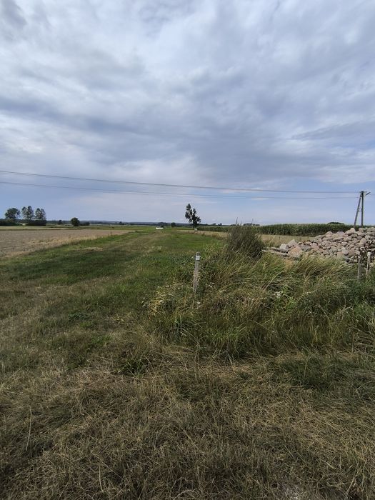 Działka pod Mławą  30arów pod budowę domu