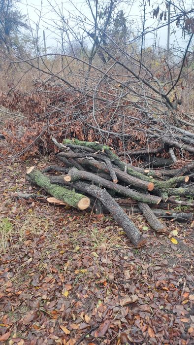 Спил и распил деревьев на вашем участке от 300грн