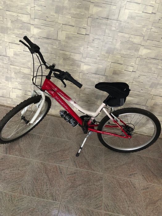 Bicicleta Junior - Aro 24