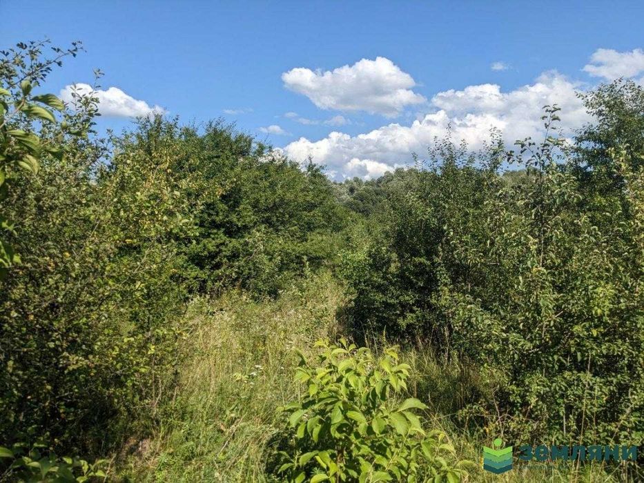 Продається ділянка 10.5 сот під будову Клузів (8)