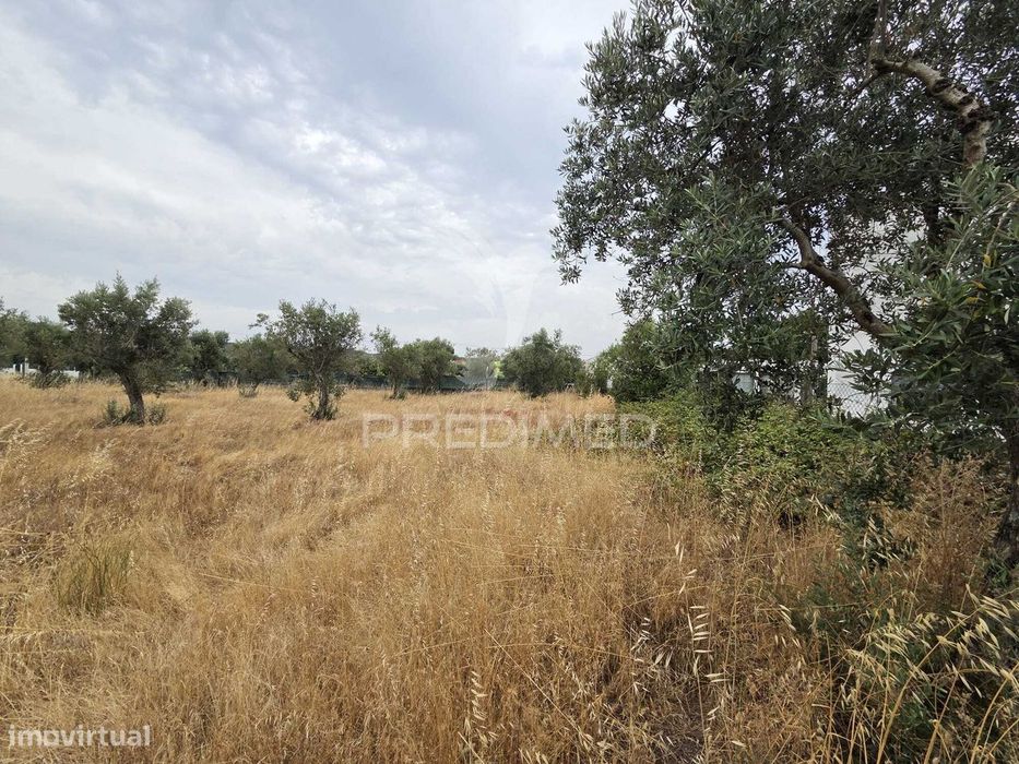 Lote de Terreno