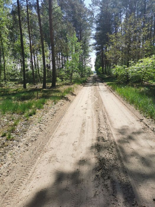Sprzedam działki budowlane z warunkami zabudowy