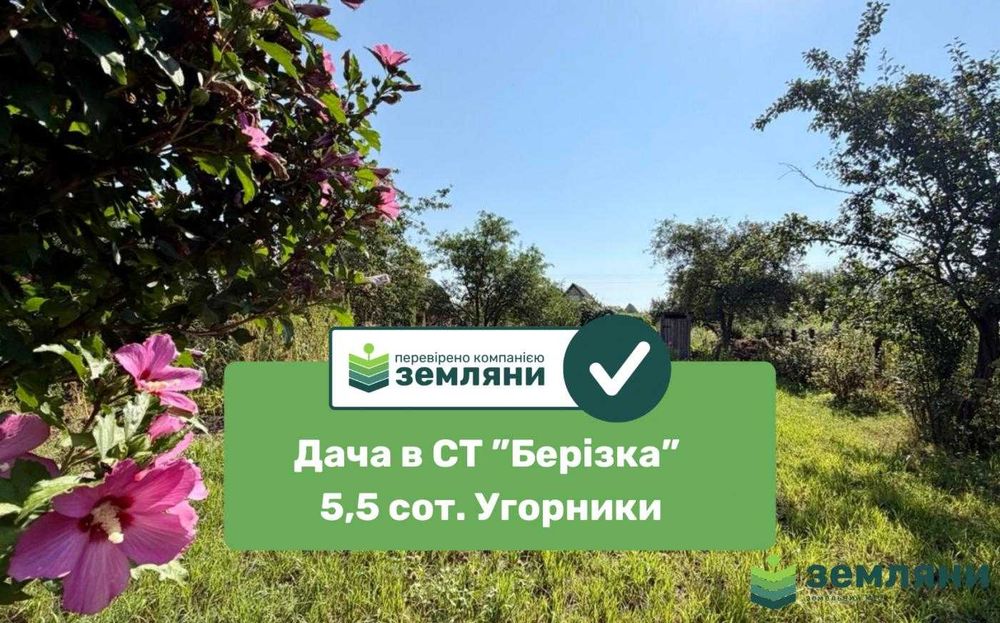 Фото ділянки