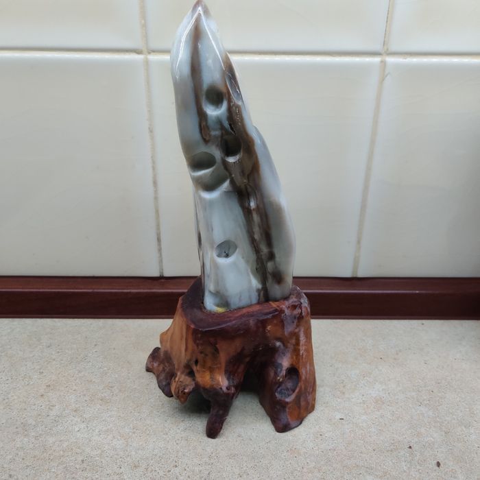 Окаменелое дерево Нефрит 30см