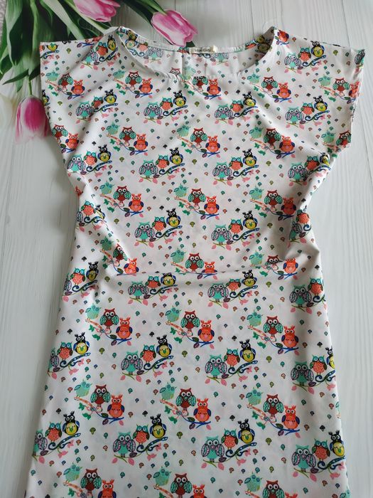 Плаття Сукня Сарафан