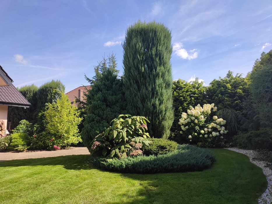 Projekt ogrodu wraz z realizacją