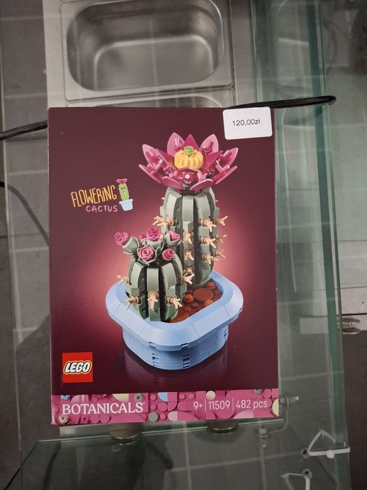LEGO® Botanicals Kwitnący kaktus 11509