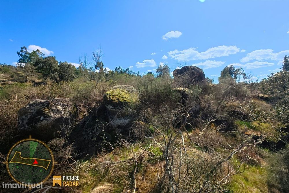 Terreno 1.1ha com Ruína e Vale Fértil | Cafede, Castelo Branco