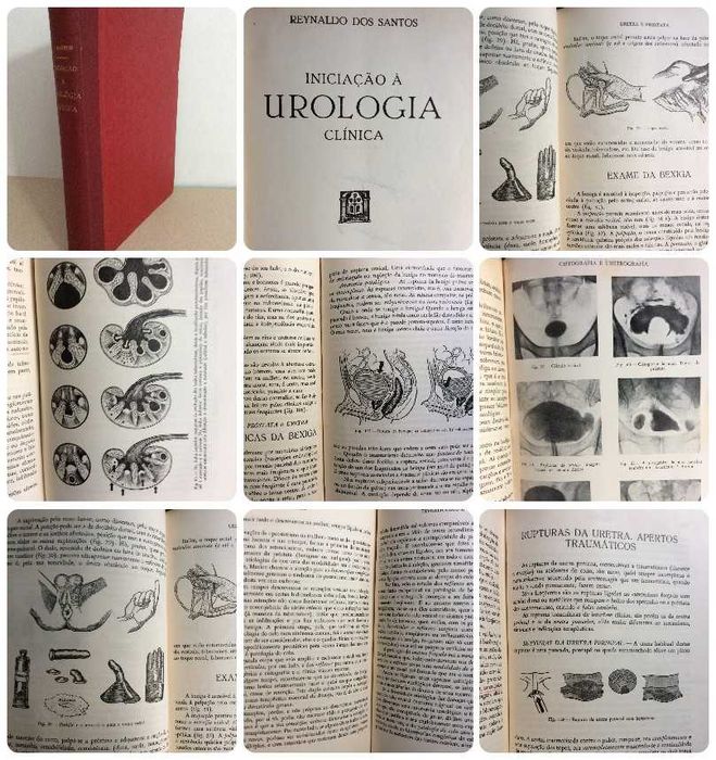 Iniciação à urologia clínica , 1944