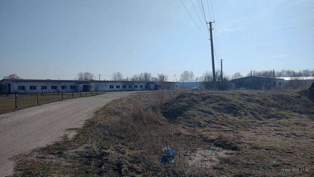 Ферма Свиноферма Скотарство Зерносхови Цех Броварський 600квм 70сот