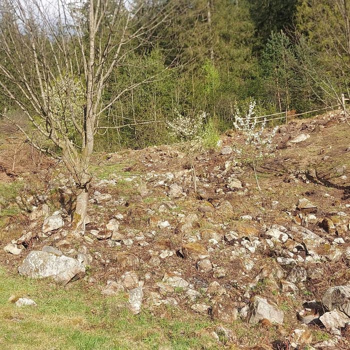 Віддам безкоштовно