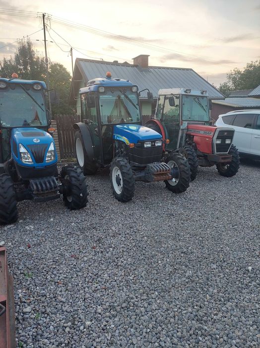 ciągnik sadowniczy massey ferguson MF 364