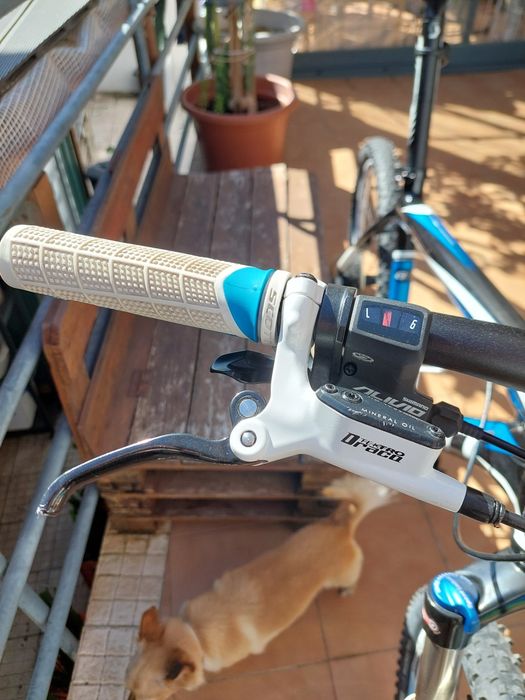 Bicicleta Scott Scale 80 BTT tam L (ultima baixa de preço)