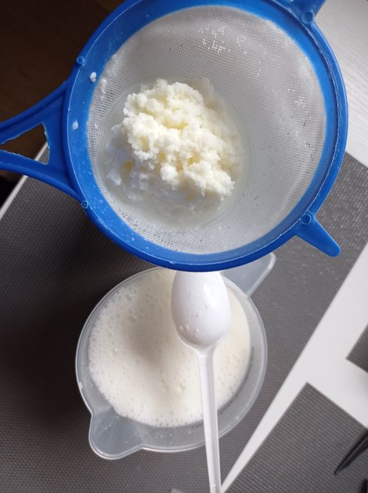 Grzybek tybetański 20gram