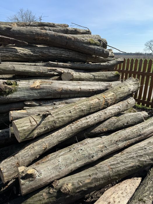 Grab buk dąb akacja / drewno opałowe kominkowe