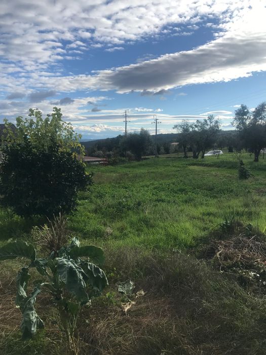 Particular vende moradia 2 andares em Viseu - Cavernães