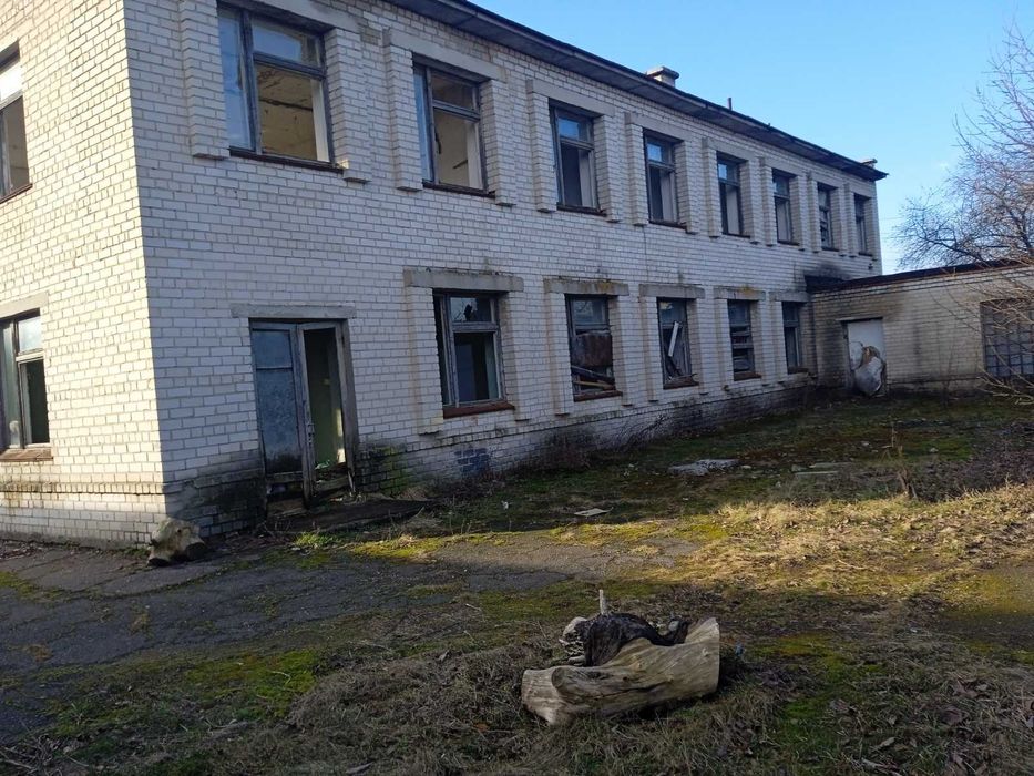 Частина комплексу будівель 1 228.2 м2, Царичанка. Першотравневий, 11