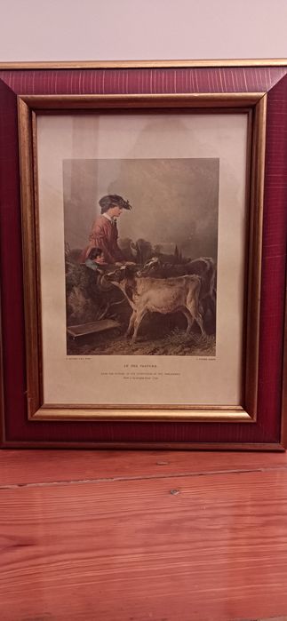 Gravuras emolduradas