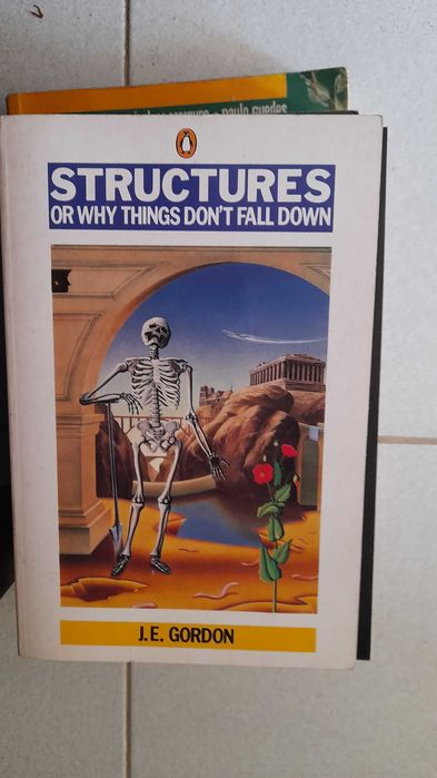 Livro Structures or Why Things Fall Down Capa Dura
