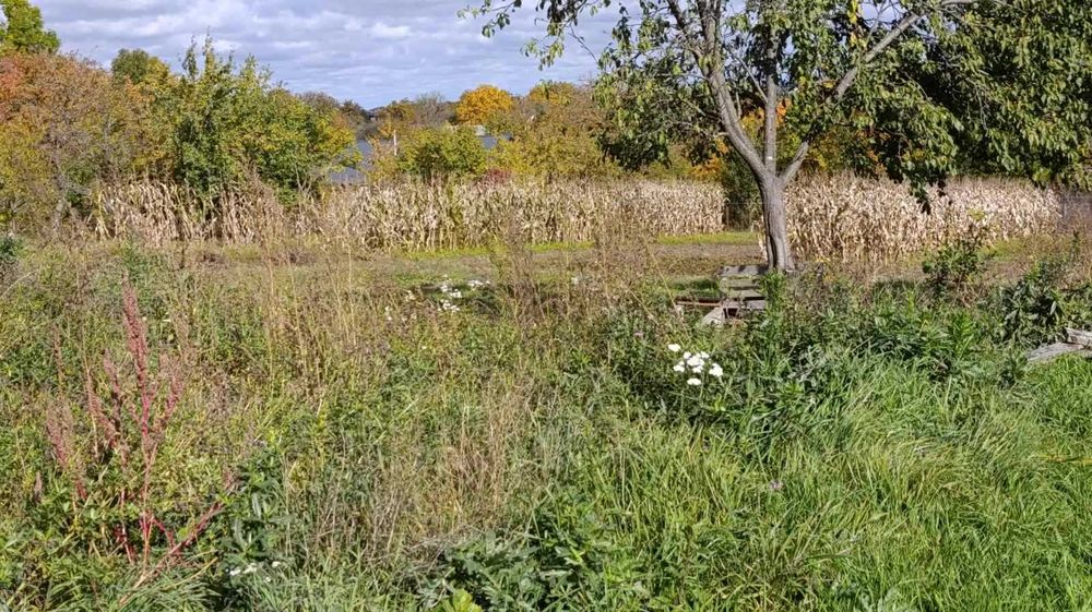 (3) Продам земельну ділянку на Вінницьких Хуторах 0756