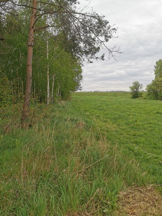 Domek do wynajęcia 300zł /doba