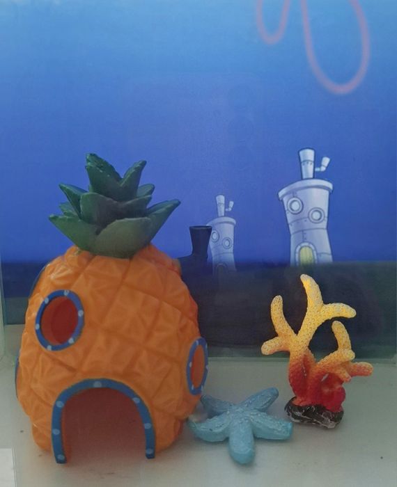 Акваріум в стилі Губки Боба