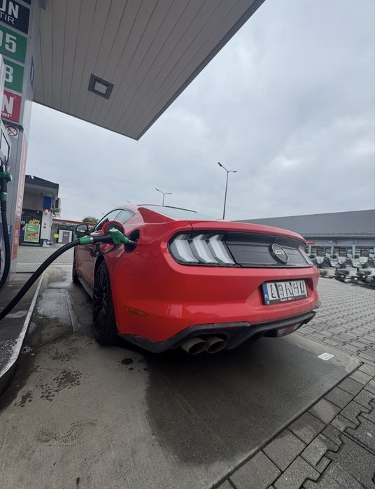 Wynajem Ford Mustang GT 5.0 V8 Automat