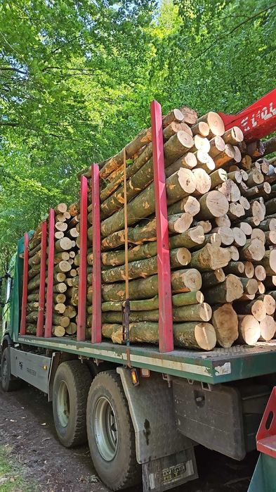 Drewno opałowe lisciaste dąb brzoza walki w walkach