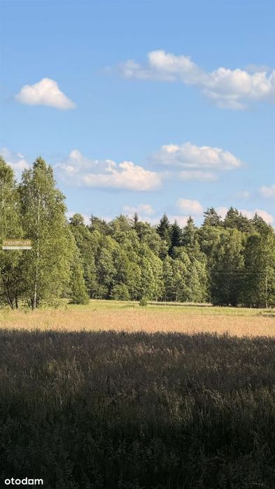 Działka w środku lasu z Wz | Wolaniny – pohled 4