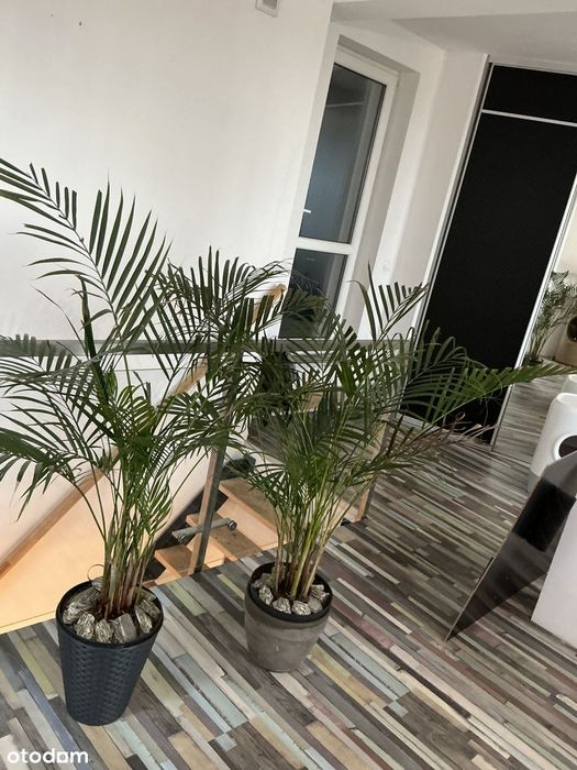 Dwupoziomowy apartament 84m² z tarasem 22m² | Centrum, Viniarnia Home