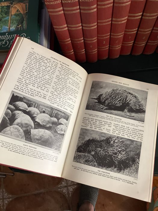 Newnes pictorial knowledge - 11 livros muito visuais sobre ciência