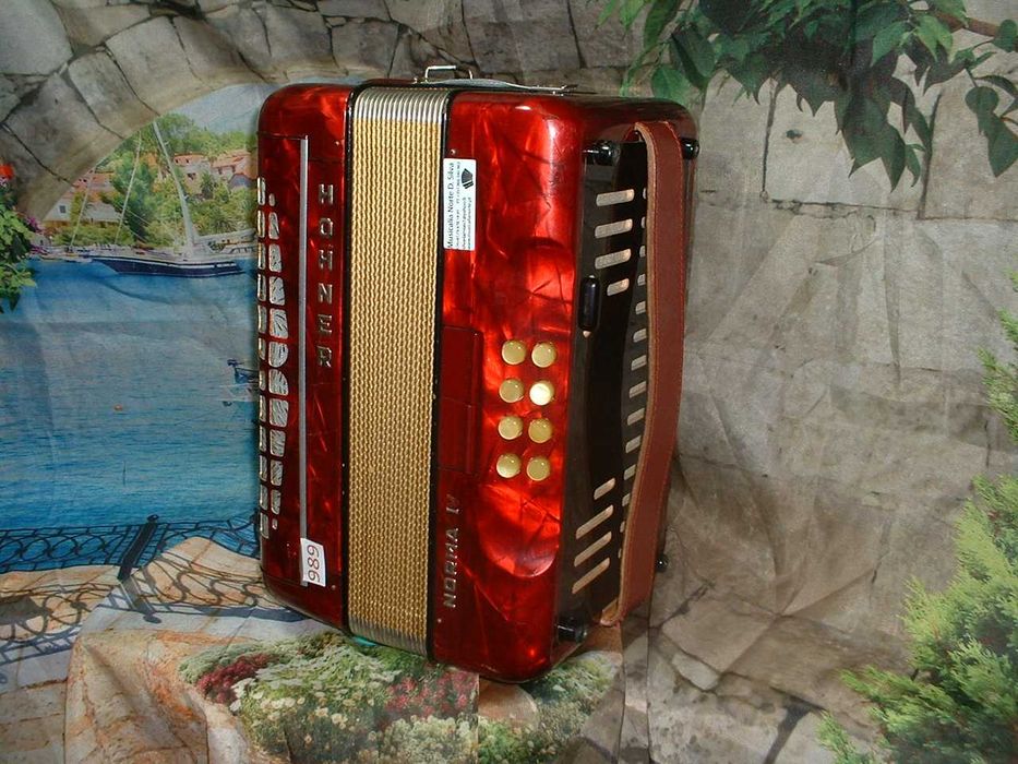 Concertina   Avenda N .989
