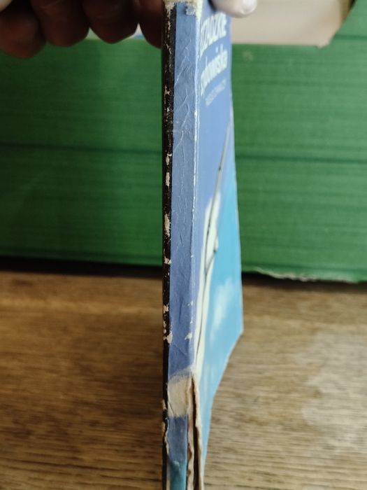 Książka Bieszczadzkie szybowiska ⁷⁰