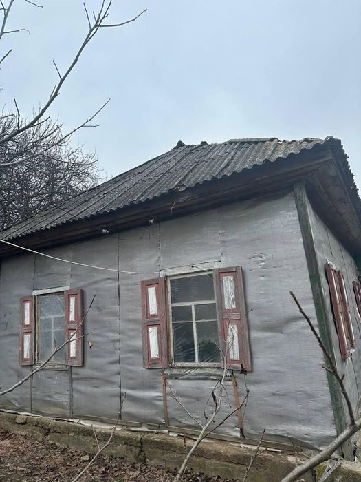 Продаж будинку в селі Козари біля лісу