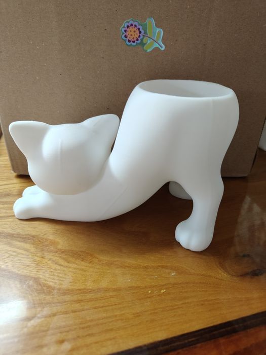 Doniczka rozciągający się kotek